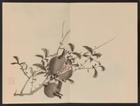 An illustration from Keinen shūgajō (1906)
