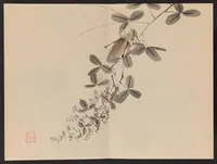 An illustration from Keinen shūgajō (1906)