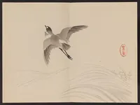 An illustration from Keinen shūgajō (1906)