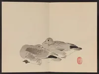 An illustration from Keinen shūgajō (1906)