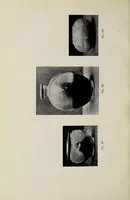 An illustration from The Kélékian collection of ancient Chinese potteries (1917)