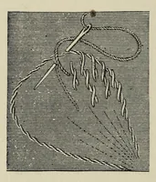 An illustration from Kensington embroidery and the colors of flowers : a complete guide to art needlework (1884)