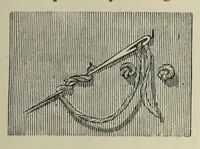 An illustration from Kensington embroidery and the colors of flowers : a complete guide to art needlework (1884)