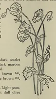 An illustration from Kensington embroidery and the colors of flowers : a complete guide to art needlework (1884)