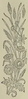 An illustration from Kensington embroidery and the colors of flowers : a complete guide to art needlework (1884)