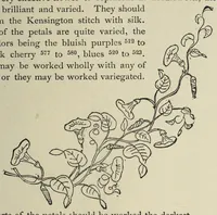 An illustration from Kensington embroidery and the colors of flowers : a complete guide to art needlework (1884)