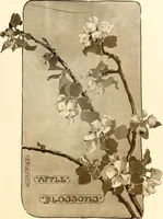 An illustration from Keramic studio (1899)