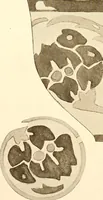 An illustration from Keramic studio (1899)