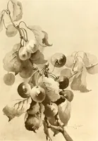 An illustration from Keramic studio (1899)