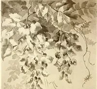 An illustration from Keramic studio (1899)