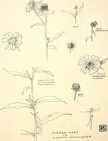 An illustration from Keramic studio (1899)