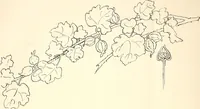 An illustration from Keramic studio (1899)