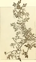 An illustration from Keramic studio (1899)