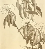 An illustration from Keramic studio (1899)