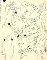 An illustration from Keramic studio (1899)