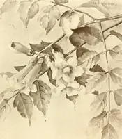 An illustration from Keramic studio (1899)
