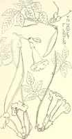 An illustration from Keramic studio (1899)