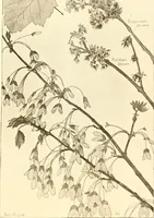 An illustration from Keramic studio (1899)