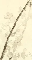 An illustration from Keramic studio (1899)