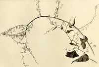 An illustration from Keramic studio (1899)