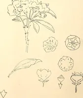 An illustration from Keramic studio (1899)