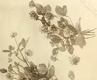 An illustration from Keramic studio (1899)