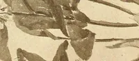 An illustration from Keramic studio (1899)