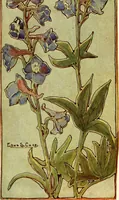 An illustration from Keramic studio (1899)