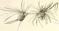 An illustration from Keramic studio (1899)
