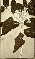 An illustration from Keramic studio (1899)