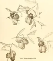 An illustration from Keramic studio (1899)