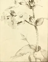 An illustration from Keramic studio (1899)