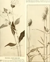 An illustration from Keramic studio (1899)