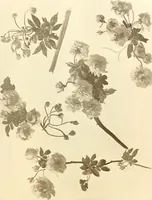 An illustration from Keramic studio (1899)