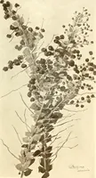 An illustration from Keramic studio (1899)
