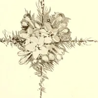 An illustration from Keramic studio (1899)