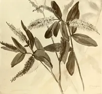 An illustration from Keramic studio (1899)