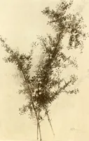An illustration from Keramic studio (1899)