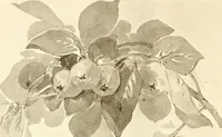 An illustration from Keramic studio (1899)