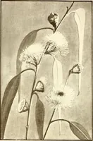 An illustration from Keramic studio (1899)
