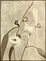 An illustration from Keramic studio (1899)