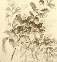 An illustration from Keramic studio (1899)