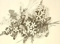 An illustration from Keramic studio (1899)