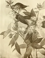 An illustration from Keramic studio (1899)