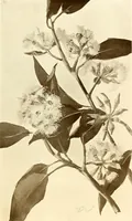 An illustration from Keramic studio (1899)
