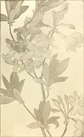 An illustration from Keramic studio (1899)