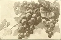 An illustration from Keramic studio (1899)