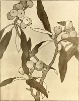 An illustration from Keramic studio (1899)