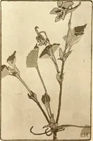 An illustration from Keramic studio (1899)