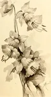 An illustration from Keramic studio (1899)